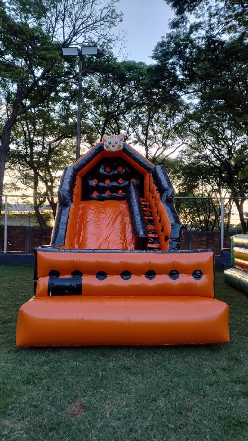 TOBOGÃ GRANDE PREMIUM TIGRE 