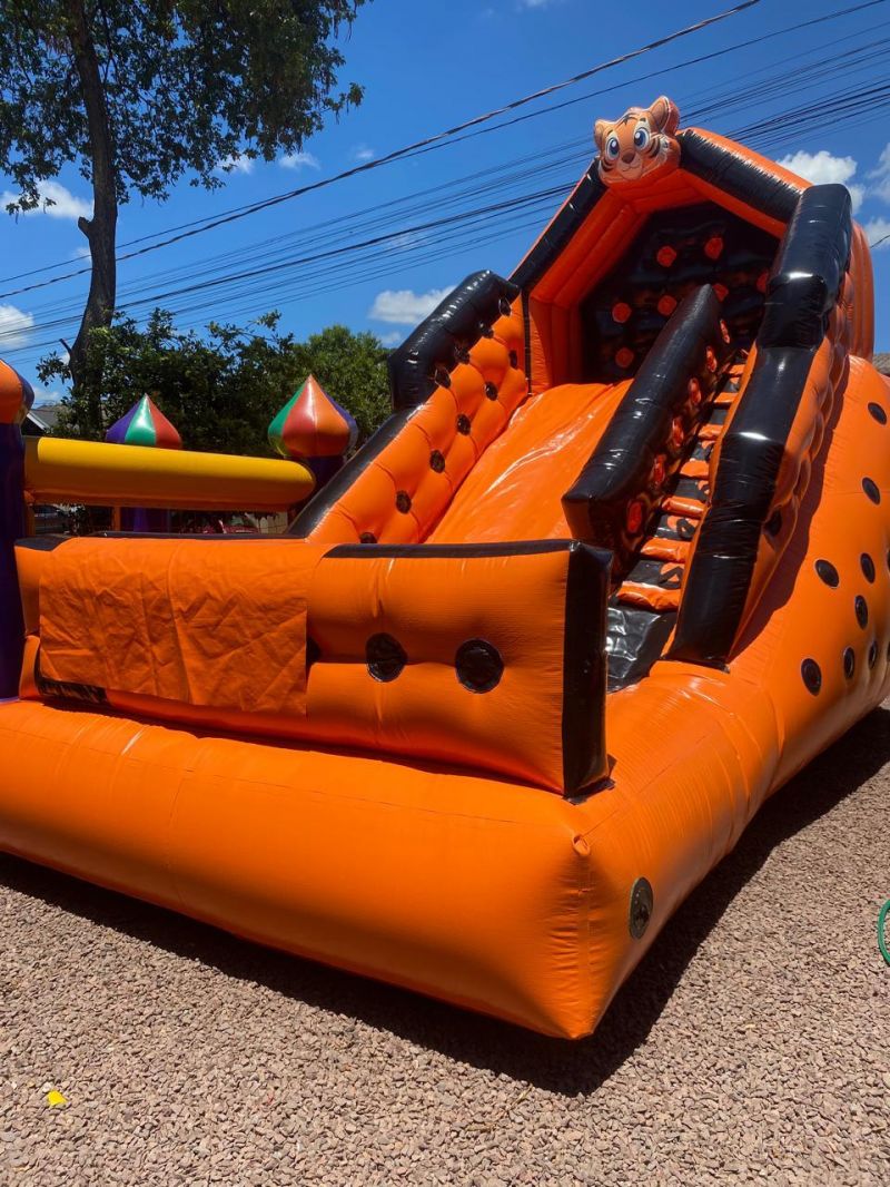 TOBOGÃ GRANDE TIGRE 